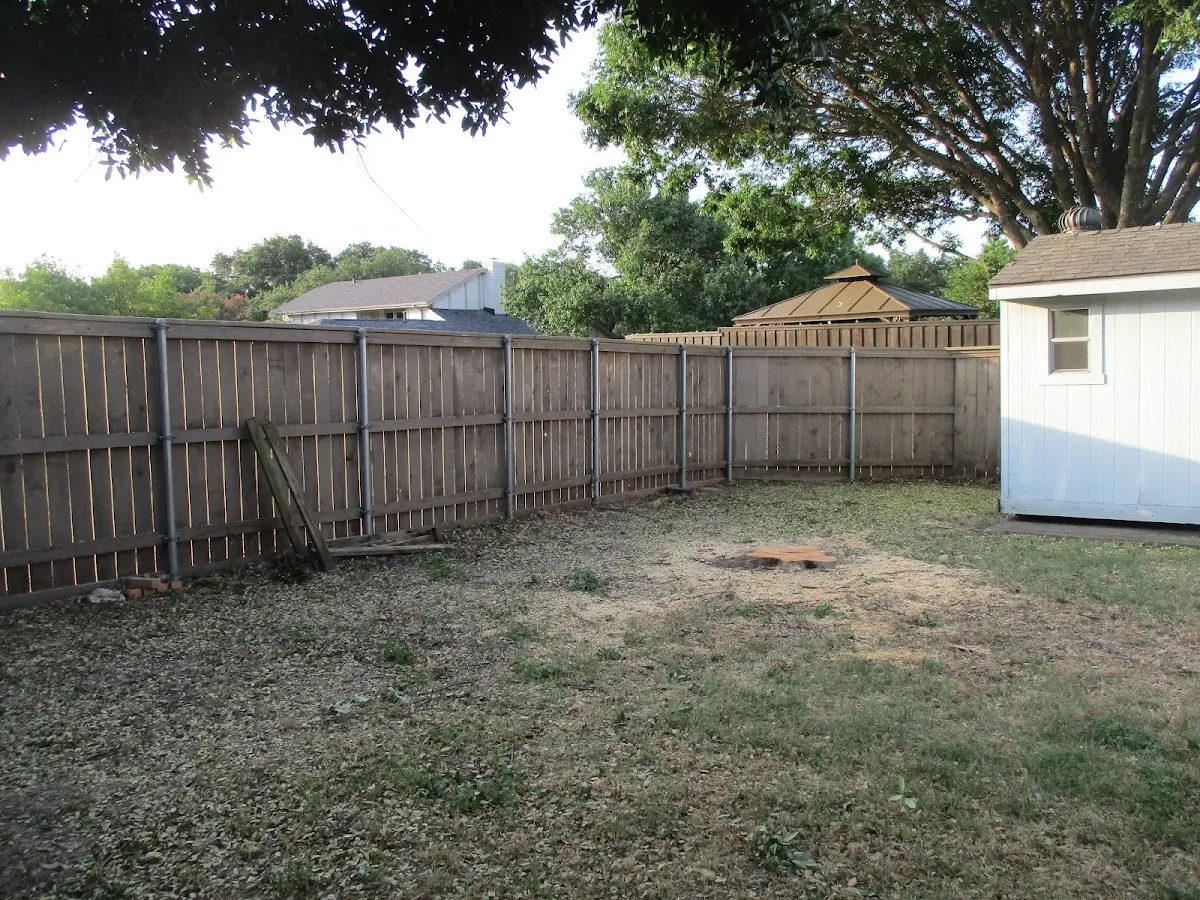 Cleared yard after professional tree removal in Millersburg
